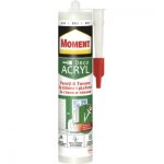 SILICON MOMENT ACRYL 280ML 12/BAX